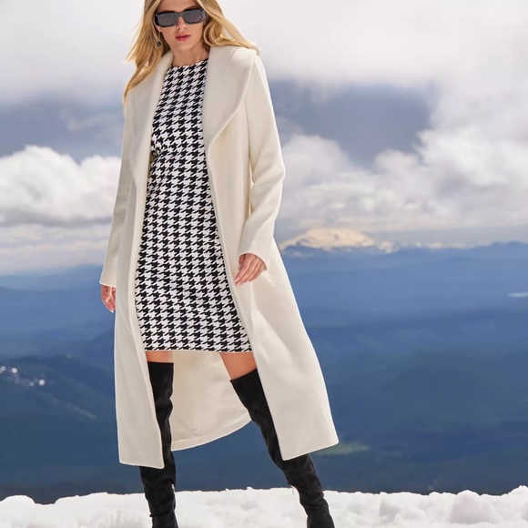 ✨Host Pick✨Boston Proper, Park City Houndstooth Sculpting Sweater Dress - Picture 4 of 4